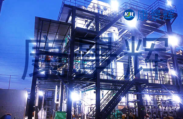 年產(chǎn)131噸化學原料藥及329噸中間體蒸發(fā)結(jié)晶系統(tǒng)