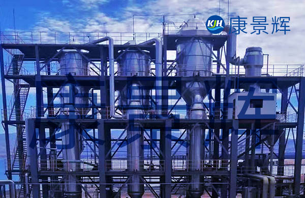 產固量2.5t/h溴化鈉三效蒸發(fā)器