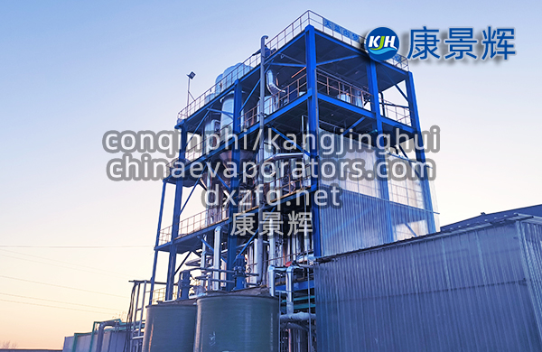 4t/h廢催化劑回收氯化鈉三效蒸發(fā)器